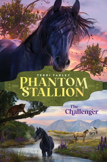 Book cover for Challenger