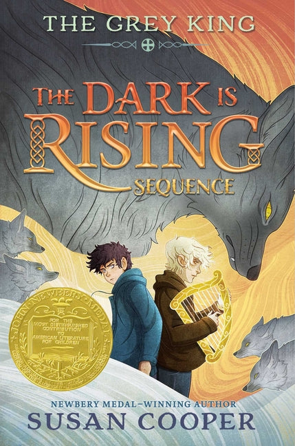 Book cover for Grey King (Reissue)