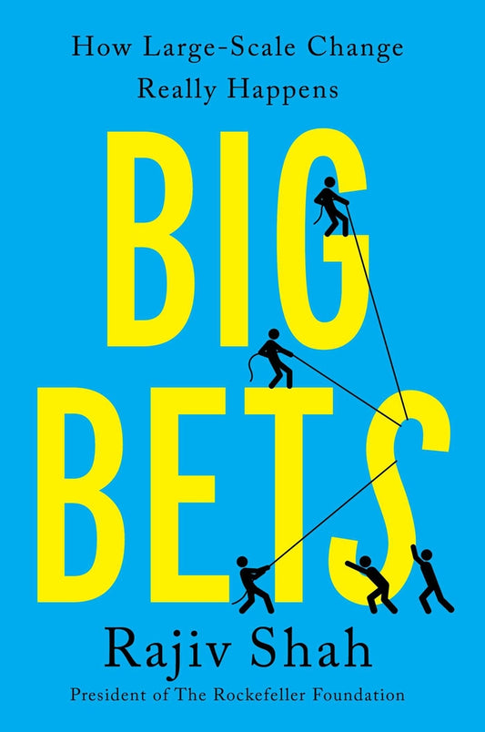 Book cover for Big Bets: How Large-Scale Change Really Happens