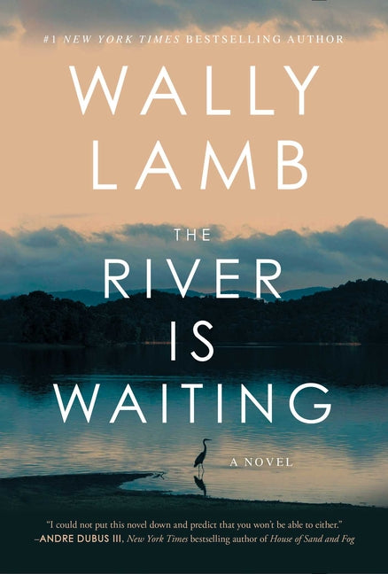 Book cover for River Is Waiting