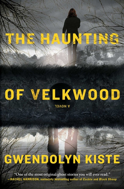Book cover for Haunting of Velkwood