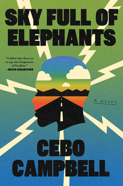 Book cover for Sky Full of Elephants