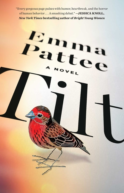 Book cover for Tilt
