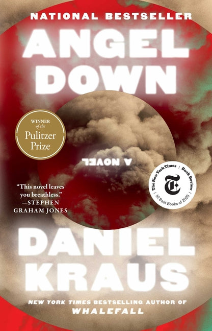 Book cover for Angel Down