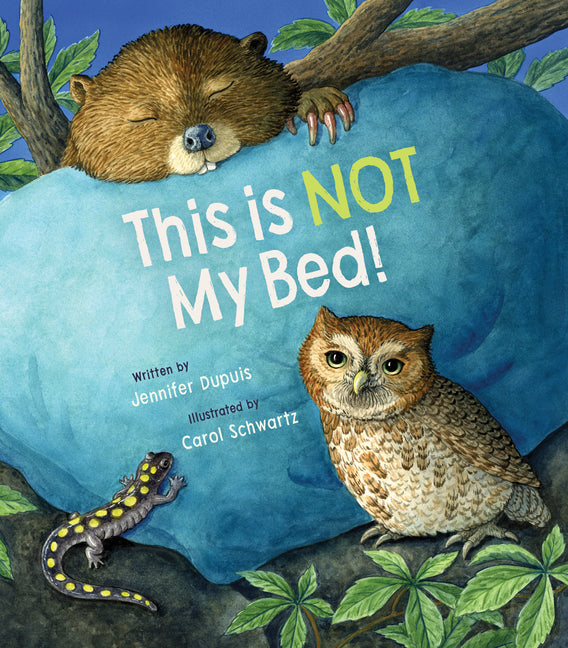 Book cover for This Is Not My Bed!