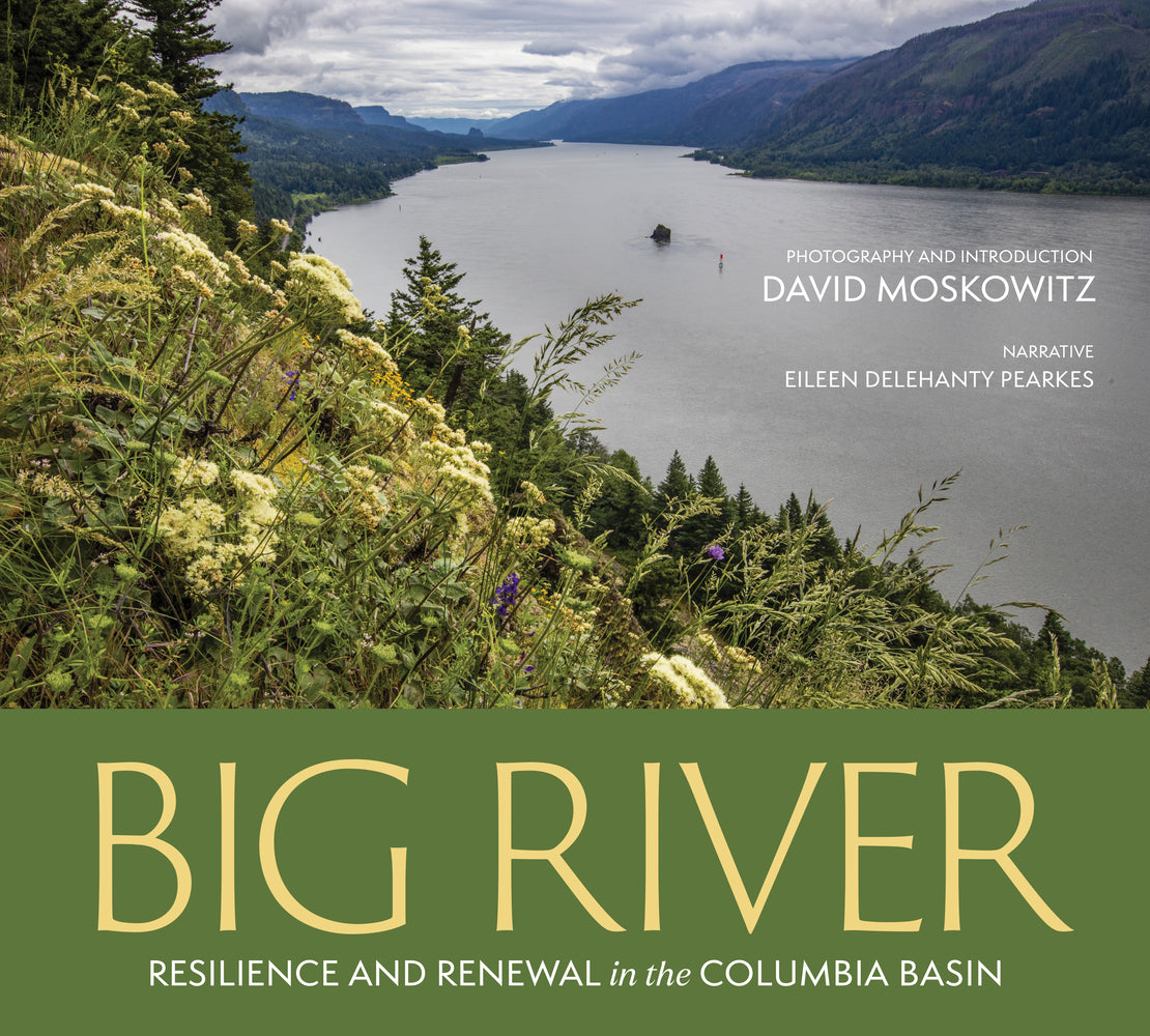 Book cover for Big River: Resilience and Renewal in the Columbia Basin