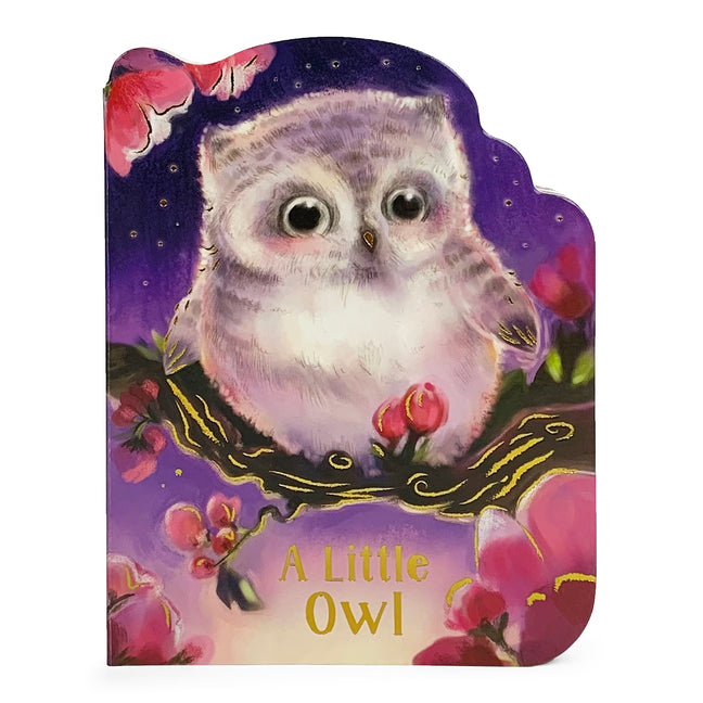 Book cover for Little Owl