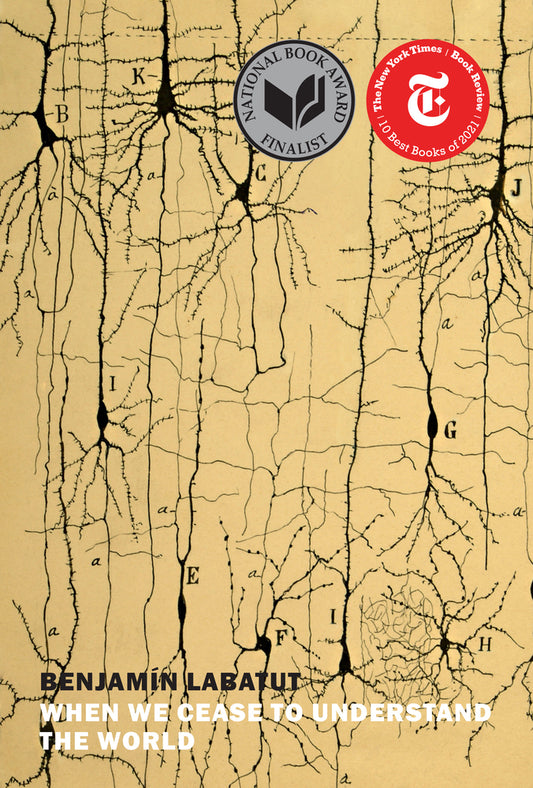 Book cover for When We Cease to Understand the World