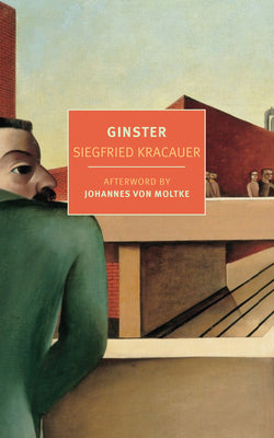 Book cover for Ginster