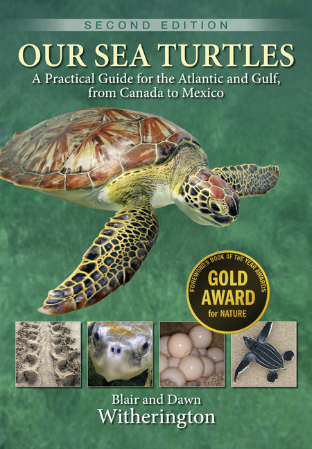 Book cover for Our Sea Turtles: A Practical Guide for the Atlantic and Gulf, from Canada to Mexico (Second Edition,)