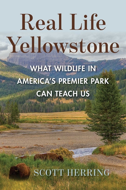 Book cover for Real Life Yellowstone: What Wildlife in America's Premier Park Can Teach Us