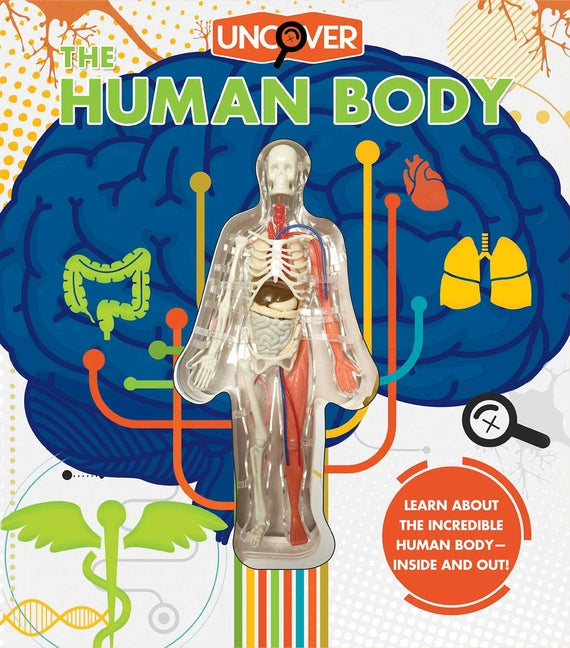 Book cover for Uncover the Human Body