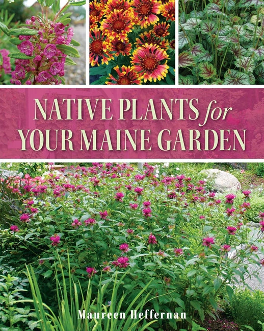 Book cover for Native Plants for Your Maine Garden
