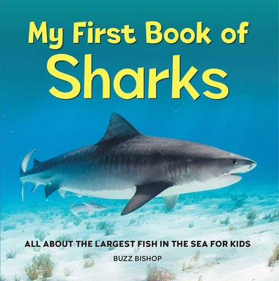 Book cover for My First Book of Sharks: All about the Largest Fish in the Sea for Kids