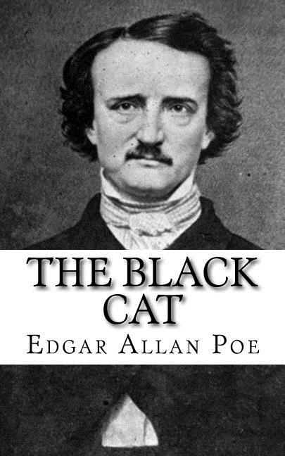Book cover for Black Cat