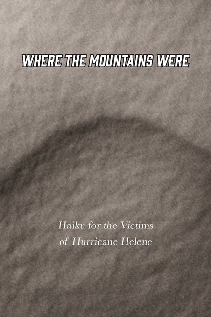 Book cover for Where the Mountains Were