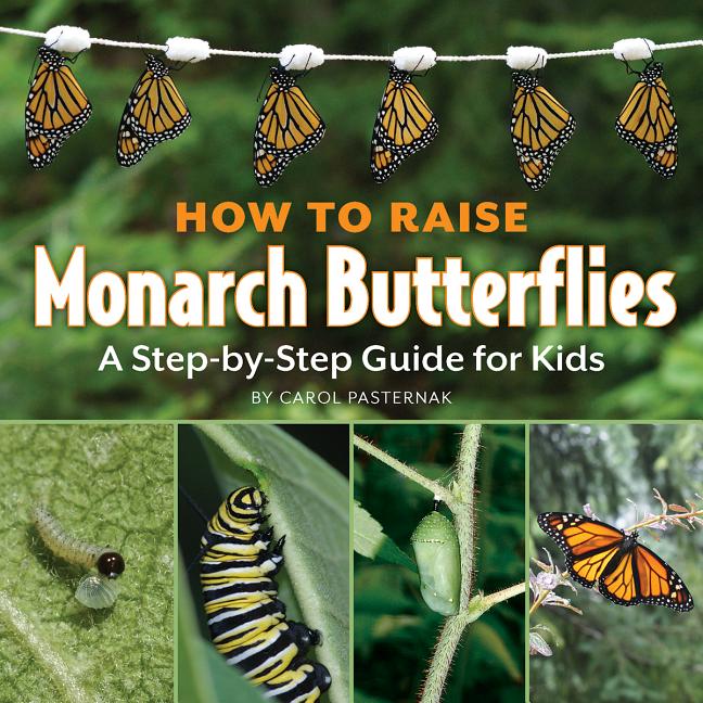 Book cover for How to Raise Monarch Butterflies: A Step-By-Step Guide for Kids (Revised and Updated)