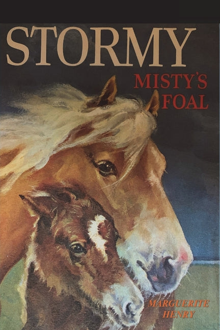 Book cover for Stormy, Misty's Foal