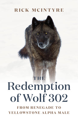 Book cover for The Redemption of Wolf 302: From Renegade to Yellowstone Alpha Male
