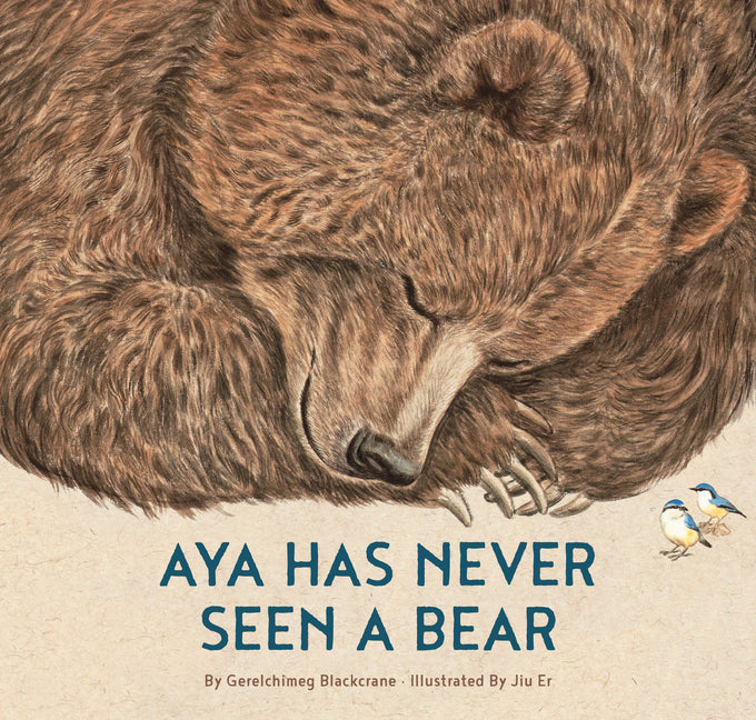 Book cover for Aya Has Never Seen a Bear