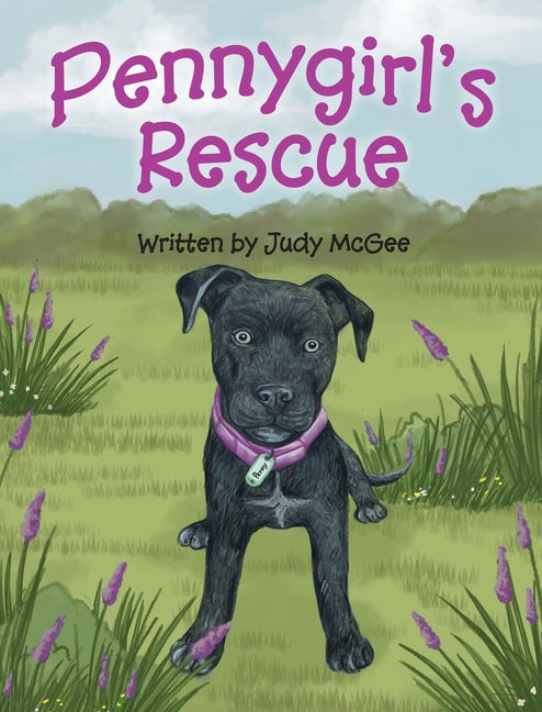 Book cover for Pennygirl's Rescue