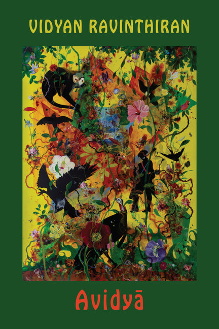 Book cover for Avidya