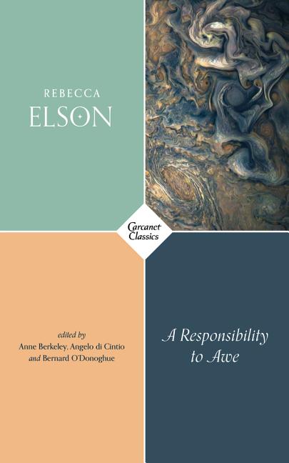 Book cover for A Responsibility to Awe