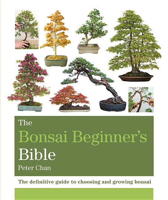 Book cover for The Bonsai Beginner's Bible