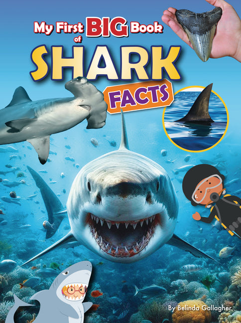 Book cover for My First Big Book of Shark Facts