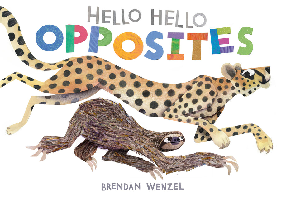 Book cover for Hello Hello Opposites