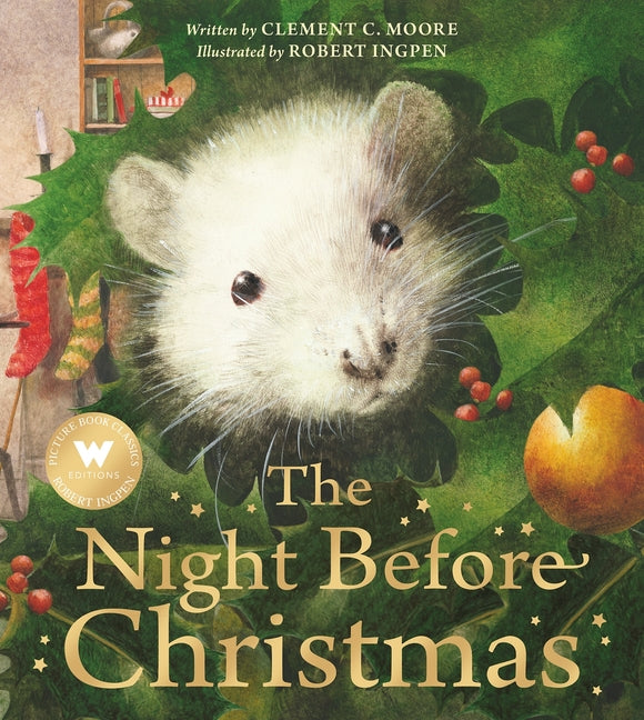 Book cover for Night Before Christmas: A Robert Ingpen Picture Book