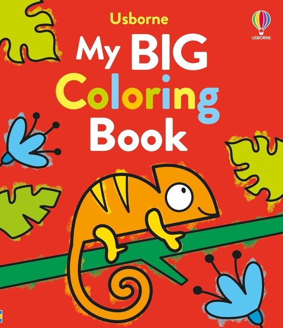 Book cover for My Big Coloring Book