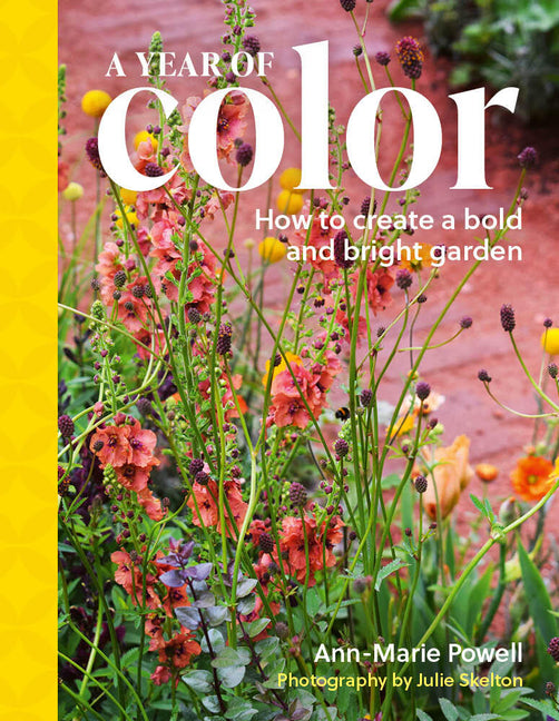 Book cover for Year of Color: How to Create a Bold and Bright Garden
