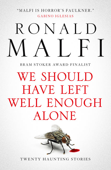 Book cover for We Should Have Left Well Enough Alone