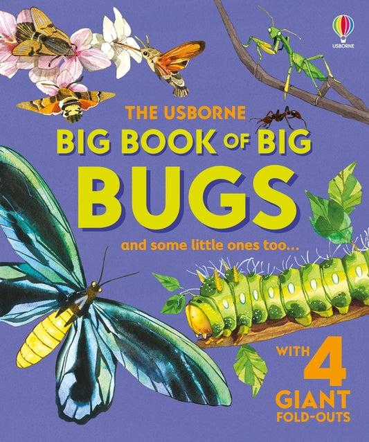 Book cover for Big Book of Big Bugs