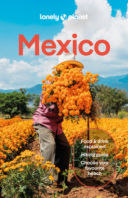 Book cover for Lonely Planet Mexico