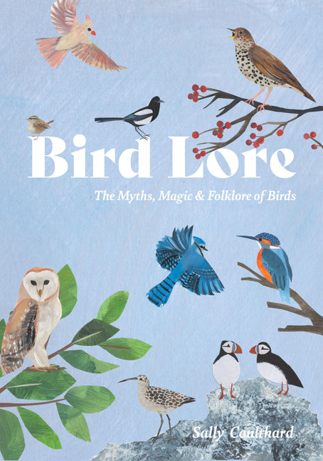 Book cover for Bird Lore: The Myths, Folklore and Meaning of Birds
