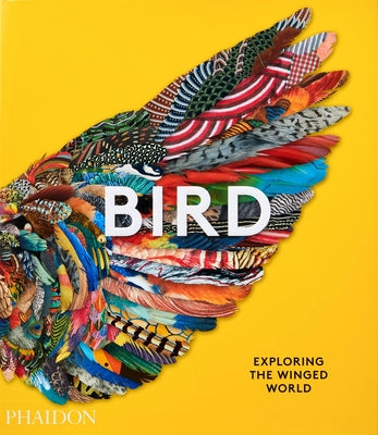 Book cover for Bird: Exploring the Winged World