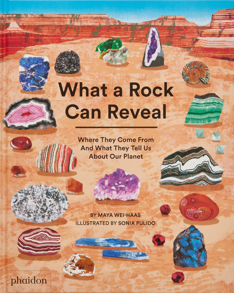 Book cover for What a Rock Can Reveal: Where They Come from and What They Tell Us about Our Planet