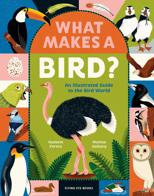 Book cover for What Makes a Bird?: An Illustrated Guide to the Bird World