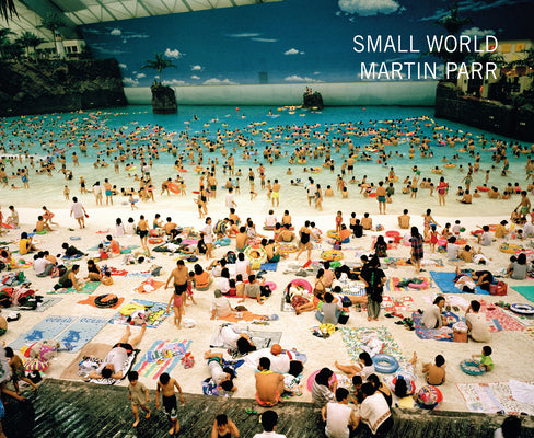 Book cover for Small World