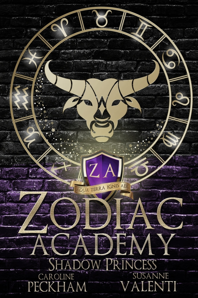 Book cover for Zodiac Academy 4: Shadow Princess