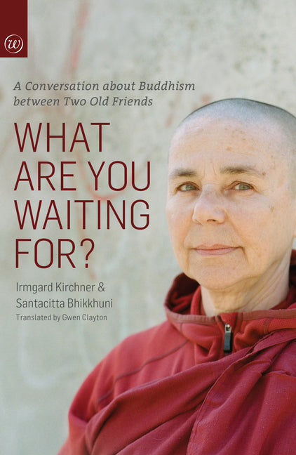 Book cover for What Are You Waiting For?: A Conversation about Buddhism Between Two Old Friends