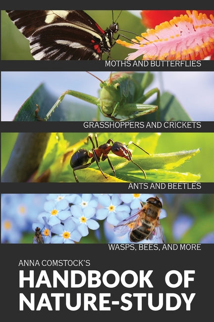 Book cover for The Handbook Of Nature Study in Color - Insects