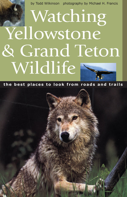 Book cover for Watching Yellowstone & Grand Teton Wildlife