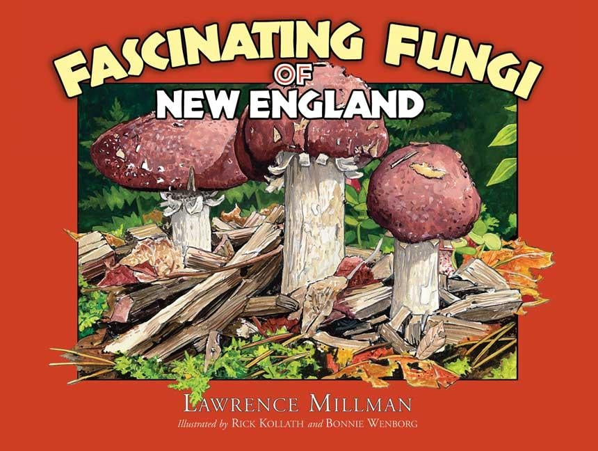 Book cover for Fascinating Fungi of New England