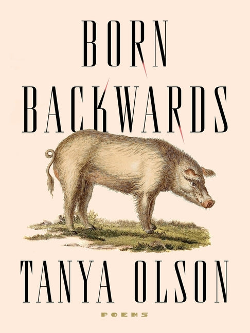 Book cover for Born Backwards