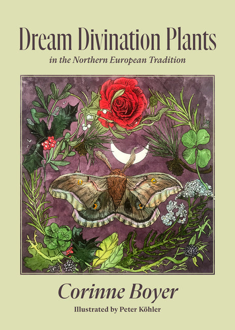 Book cover for Dream Divination Plants: In Northwestern European Traditions