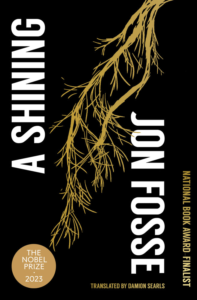 Book cover for A Shining