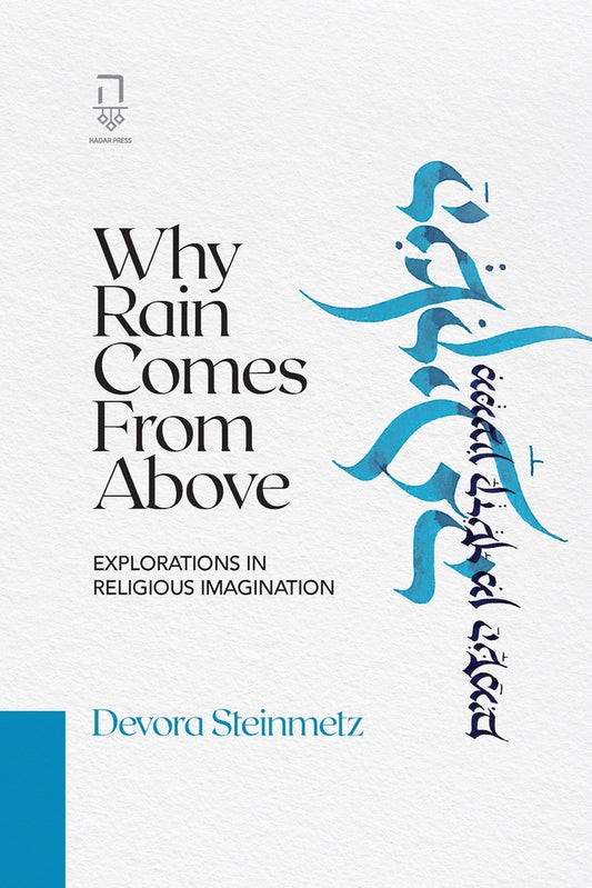 Book cover for Why Rain Comes from Above: Explorations in Religious Imagination